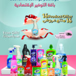 Economic Savings Package for Ultimate Deep Clean