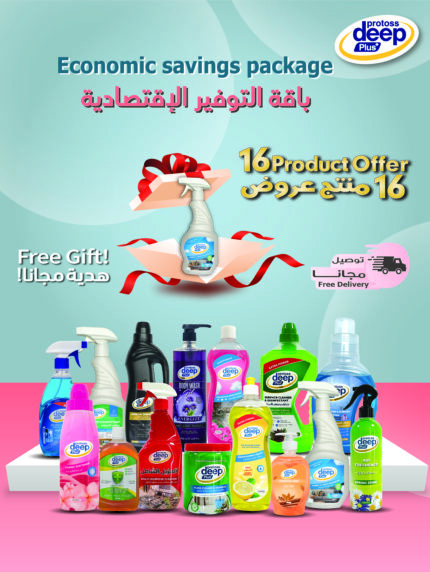 Economic Savings Package for Ultimate Deep Clean